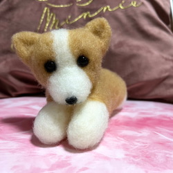 限定品❤︎♡ハンドメイド　羊毛フェルト　コーギー♡羊毛フェルト置物❤︎可愛い❤︎愛犬 3枚目の画像