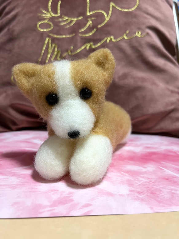 限定品❤︎♡ハンドメイド　羊毛フェルト　コーギー♡羊毛フェルト置物❤︎可愛い❤︎愛犬 3枚目の画像