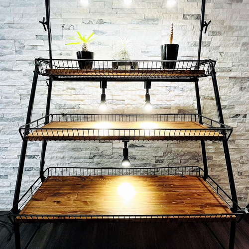 陳列アンティーク