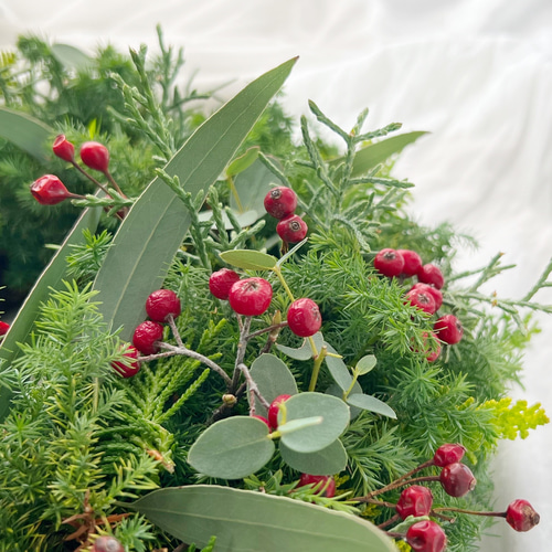 冬限定2025 直径30cm 4種類より選べる クリスマス