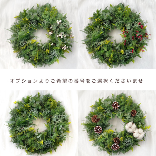 冬限定2025 直径30cm 4種類より選べる クリスマス