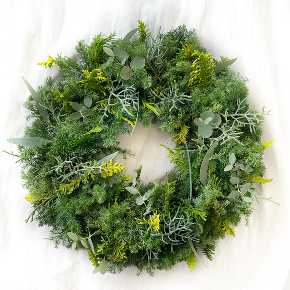 冬限定2025 直径30cm 4種類より選べる クリスマス