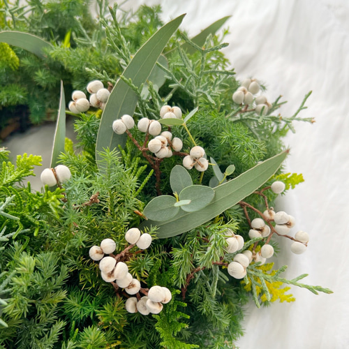 冬限定2025 直径30cm 4種類より選べる クリスマス