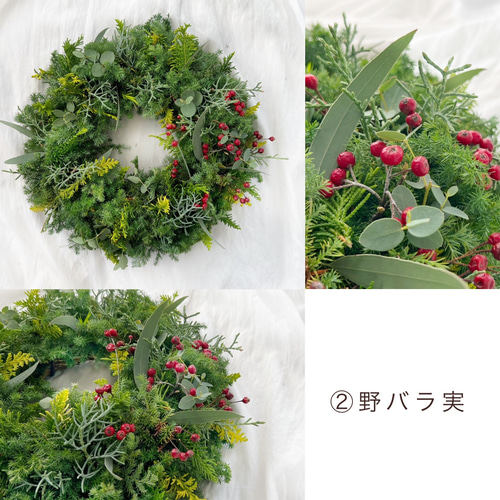 直径30cm 4種類より選べる クリスマス フレッシュグリーン