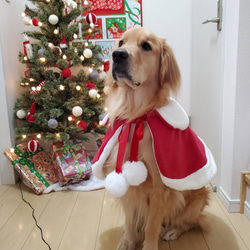 ✨オーダーメイド✨✨サンタクロースワンピース✨⭐大型犬⭐ ペット服