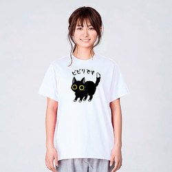 ビビる 猫tシャツ 猫 Tシャツ ねこTシャツ かわいい tシャツ 猫 グッズ 雑貨 ネコ柄 猫柄 服 ねこ柄 2枚目の画像