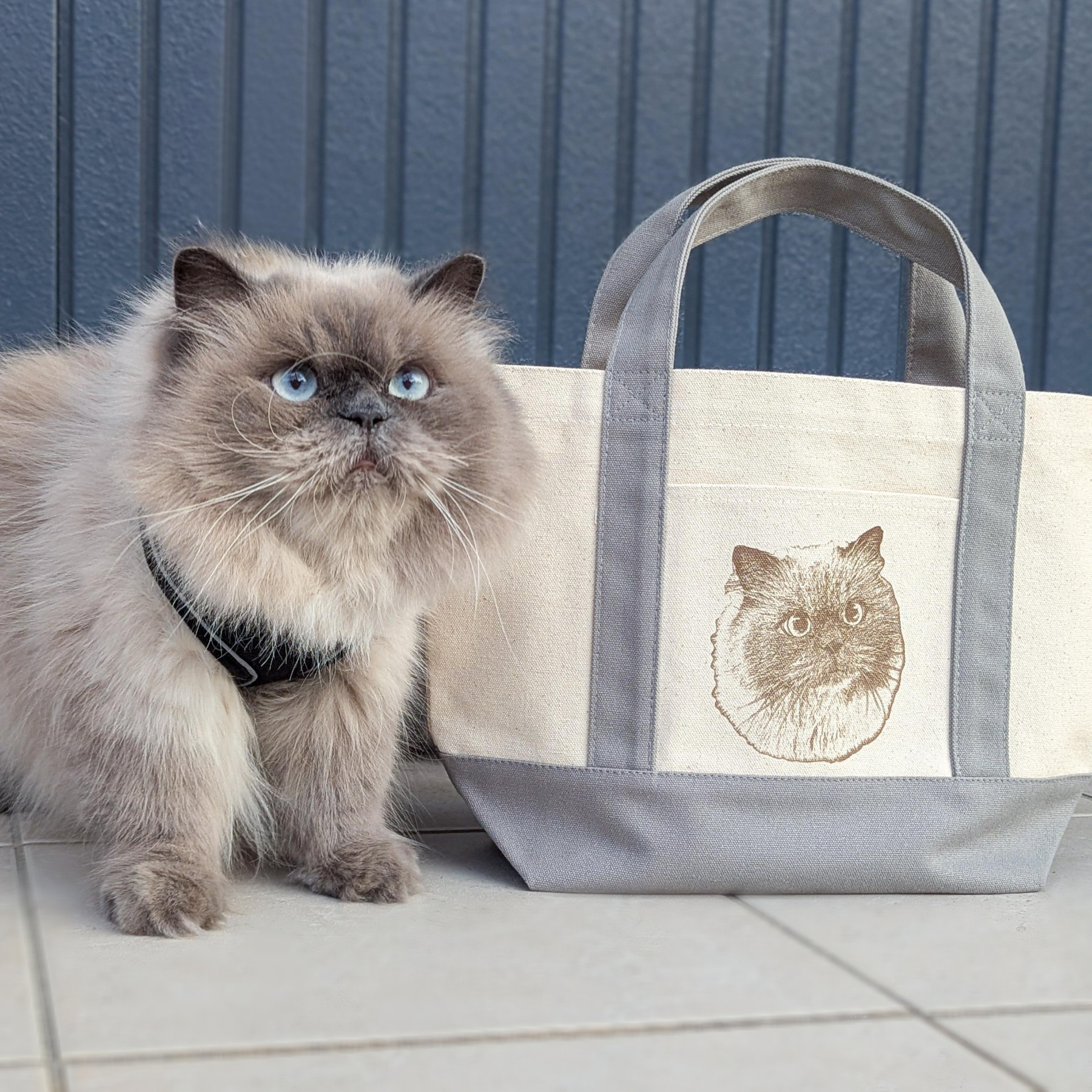 ロラライハリスlittle cat grey マチ広トートバッグ☆ハンドメイド品