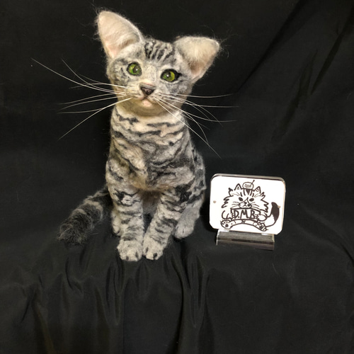 羊毛フェルト 猫 アメリカンショートヘア オーダーメイド 羊毛フェルト 猫 アメリカンショートヘア オーダーメイド
