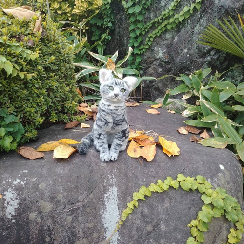 羊毛フェルト 猫 アメリカンショートヘア オーダーメイド 羊毛フェルト 猫 アメリカンショートヘア オーダーメイド