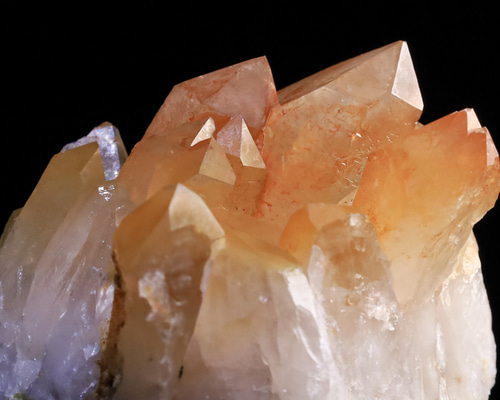 f7819f2d1278bb16d9d2e8cb39da52