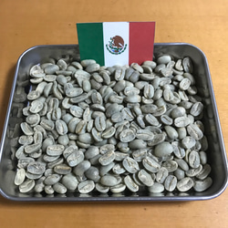 【無農薬】メキシコ・マラゴジッペ　200g 2枚目の画像