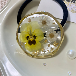 透明感が可愛い˗ˏˋビオラのお花ヘアゴムˎˊ˗ 黄 2枚目の画像