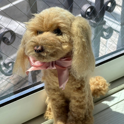 羊毛フェルト トイプードル「買い物かご入りプードルちゃん」 fit=scale-down,w=1200