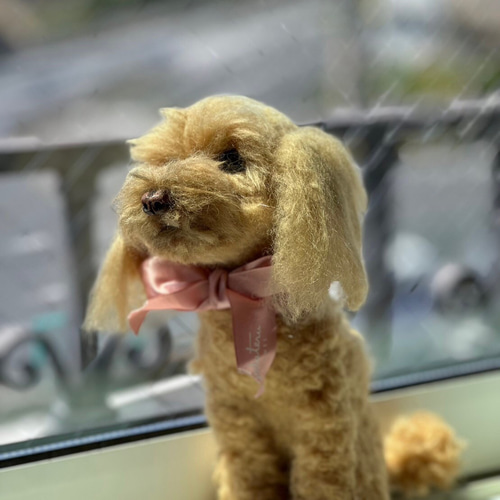 羊毛フェルト トイプードル 犬 オーダー トイプー うちの子 羊毛 羊毛フェルト トイプードル 犬 オーダー トイプー うちの子 羊毛
