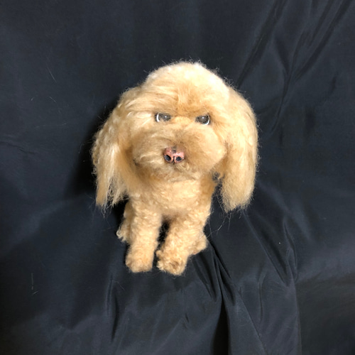 羊毛フェルト トイプードル 犬 オーダー トイプー うちの子 羊毛 羊毛フェルト トイプードル 犬 オーダー トイプー うちの子 羊毛