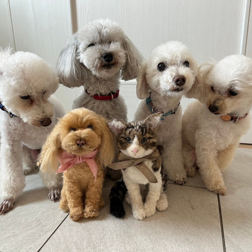 羊毛フェルト トイプードル 犬 オーダー トイプー うちの子 羊毛