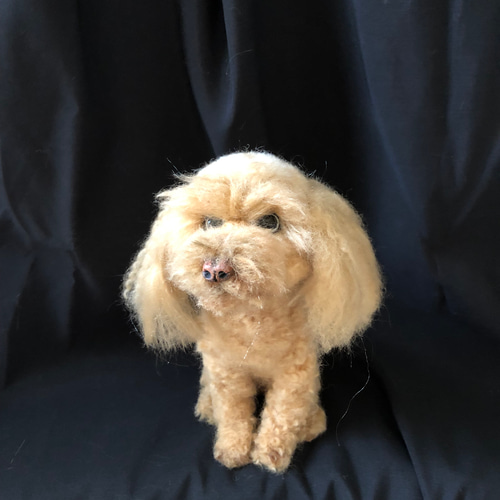 羊毛フェルト　ハンドメイド　犬　トイプードル　な〜に？ ぷあ様専用♪トイプードルちゃん 犬 羊毛フェルト ハンドメイド