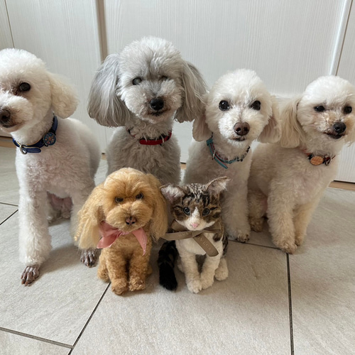 羊毛フェルト トイプードル 犬 オーダー トイプー うちの子 羊毛