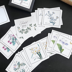 ６種のボタニカル柄メッセージカードBox(30枚入り) 3枚目の画像