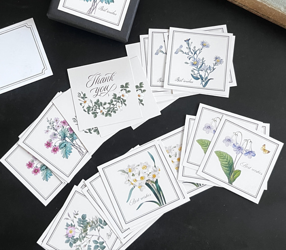 ６種のボタニカル柄メッセージカードBox(30枚入り) 3枚目の画像