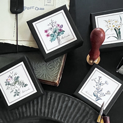 ６種のボタニカル柄メッセージカードBox(30枚入り) 4枚目の画像