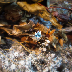 只有一枚藍色托帕石戒指 -水生植物/13- 第2張的照片