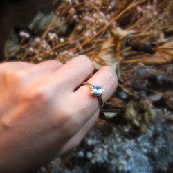 只有一枚藍色托帕石戒指 -水生植物/13- 第5張的照片