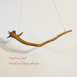 流木インテリア 無骨な木の根が印象的な流木のハンガーラック 北欧 衣装掛け ハンギング 吊り下げ ハンガーポール 9枚目の画像