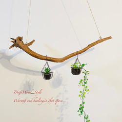 流木インテリア 無骨な木の根が印象的な流木のハンガーラック 北欧 衣装掛け ハンギング 吊り下げ ハンガーポール 4枚目の画像