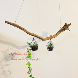 流木インテリア 無骨な木の根が印象的な流木のハンガーラック 北欧 衣装掛け ハンギング 吊り下げ ハンガーポール 2枚目の画像