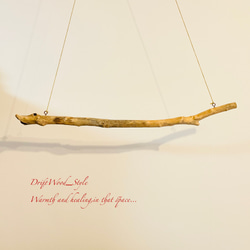 流木インテリア 1ｍサイズのシンプルな流木のハンガーラック 北欧 衣装掛け ハンギング 吊り下げ ハンガーポール N3 7枚目の画像