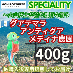 グアテマラ アンティグア メディナ農園 400g コーヒー  珈琲 自家焙煎 コーヒー豆 1枚目の画像