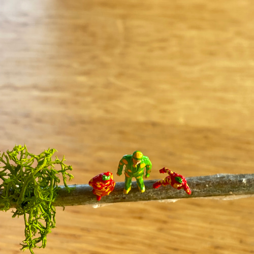 いちご小人 むし小人 苔テラリウム フィギュア 箱庭 その他インテリア