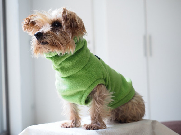 犬服　毛布みたいなハイネックタンクトップ　ライム 1枚目の画像