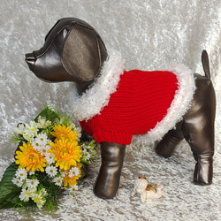 【ゆう様ご依頼分】犬服＊手編みクリスマスペアニットと小物 9枚目の画像