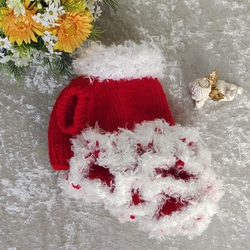 【ゆう様ご依頼分】犬服＊手編みクリスマスペアニットと小物 3枚目の画像
