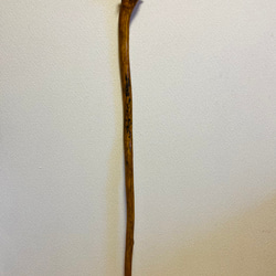 仙人の杖 その他インテリア雑貨 Natural工房 流木大陸 通販 16930581