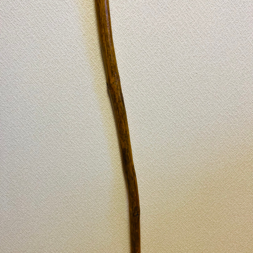 賢者の杖 その他インテリア雑貨 Natural工房 流木大陸 通販 16911494