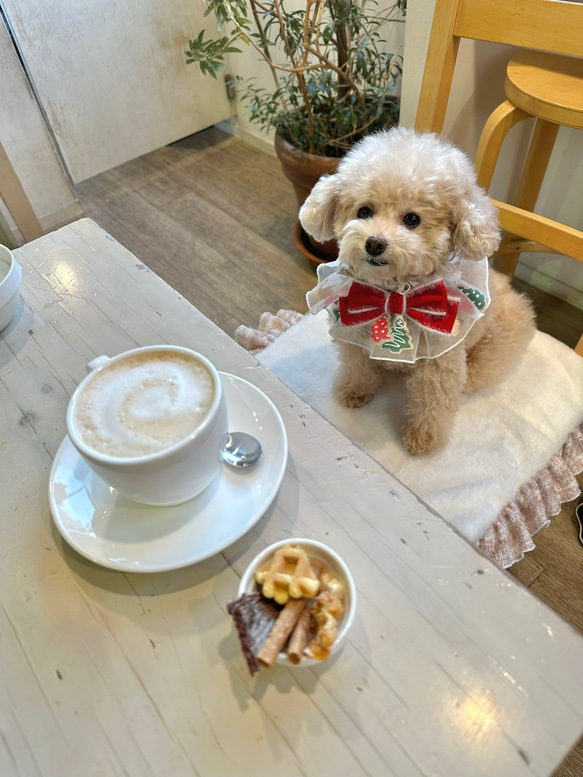 クリスマス　ビブ　ケープ　犬　犬服 3枚目の画像