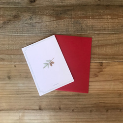 Christmas card Bouquet 植物画　グリーティングカード 2枚目の画像