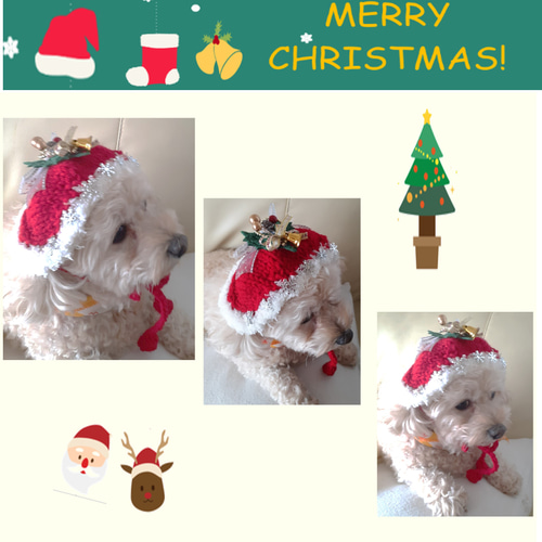 クリスマス ヘッドドレスknit 小型犬 猫ちゃん用 送料無料 xhd01