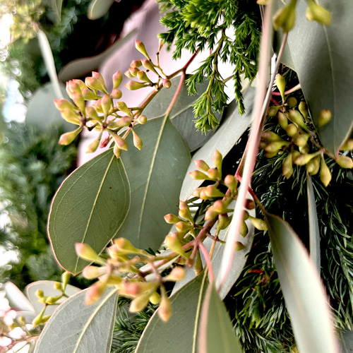 ユーカリが香る ナチュラル クリスマスリース リース The