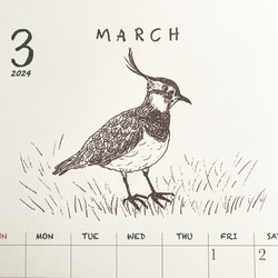 2024鳥類カレンダー　壁掛けタイプ（日曜始まりと月曜始まり選べます♪） 8枚目の画像
