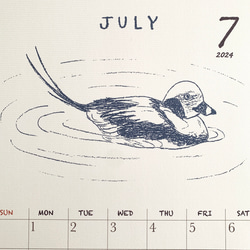 2024鳥類カレンダー　壁掛けタイプ（日曜始まりと月曜始まり選べます♪） 12枚目の画像