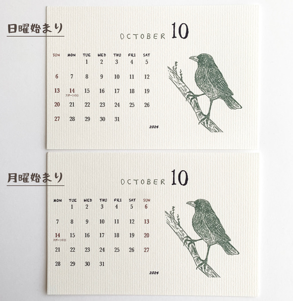 ＊台座なし　2024鳥類カレンダー　卓上タイプ　（日曜始まりと月曜始まり選べます♪） 10枚目の画像