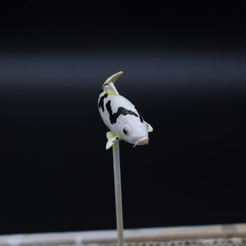 錦鯉 フィギュア 素材 標準サイズ 受注制作 その他雑貨 工房かほくや