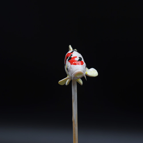 錦鯉 フィギュア 素材 標準サイズ 受注制作 その他雑貨 工房かほくや