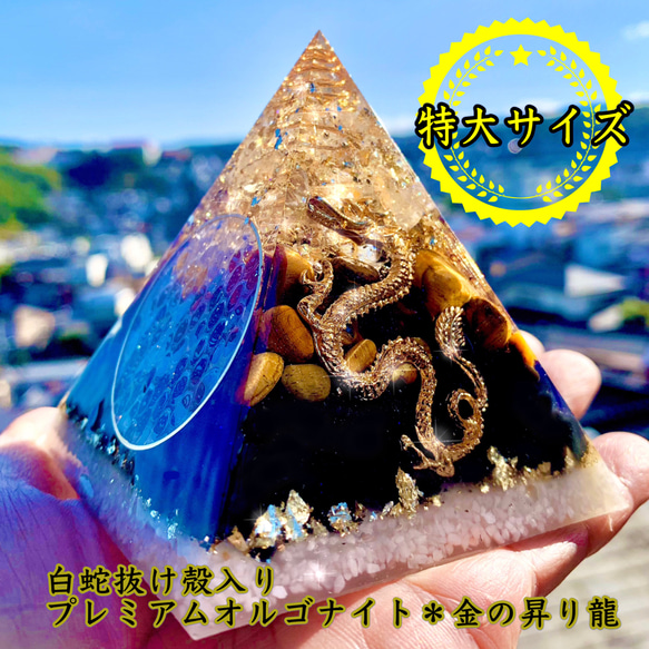 早割 リフト券 白蛇抜け殻入り＊プレミアムオルゴナイト＊アメジスト その他