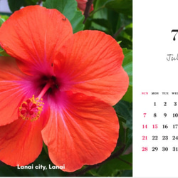 【ハワイからの贈り物】卓上カレンダー2024 ※受注生産 8枚目の画像