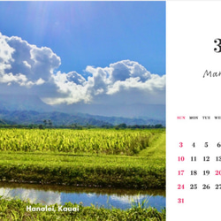 【ハワイからの贈り物】卓上カレンダー2024 ※受注生産 4枚目の画像